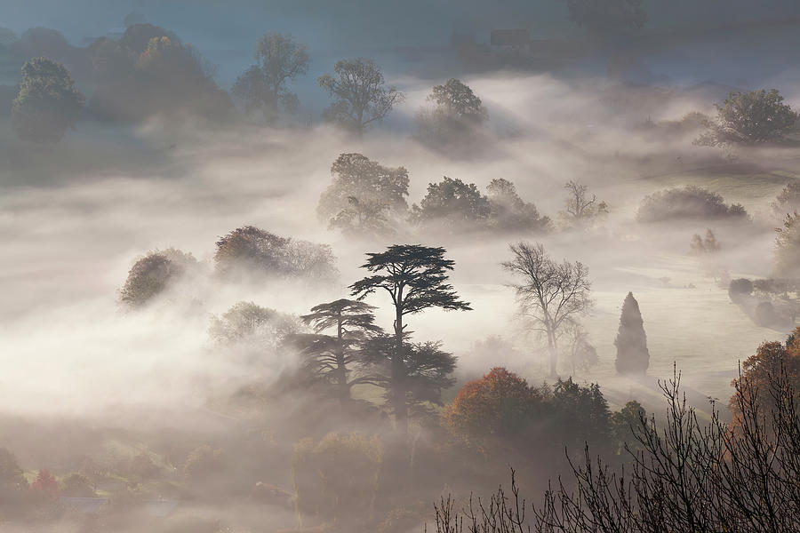 Misty Autumn Morning, Uley #3 Photograph by Peter Adams