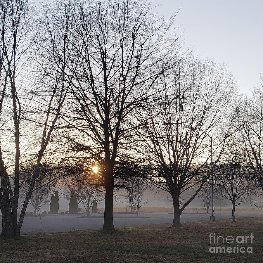Misty Morning  #3 Photograph by Anita Adams