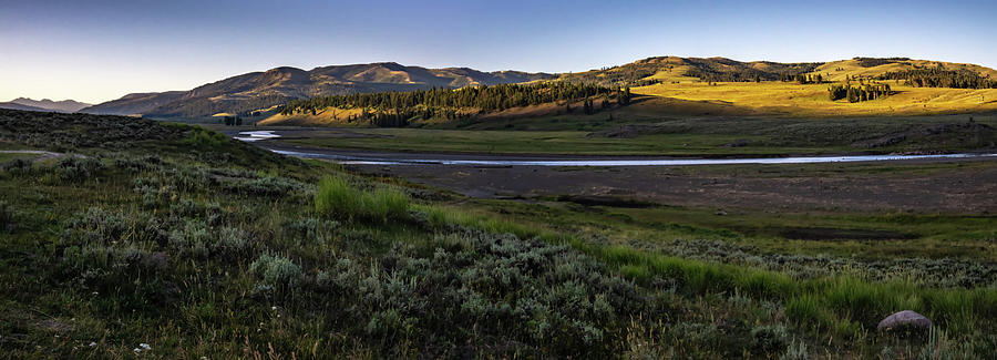 Morning Nature Scenes In Hayden Valley Yellostone Wyoming #3 Photograph by Alex Grichenko