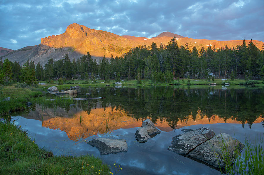 Mt. Dana Reflection, Tioga Pass, Yosemite National Park, California #3 Photograph by Tim Fitzharris