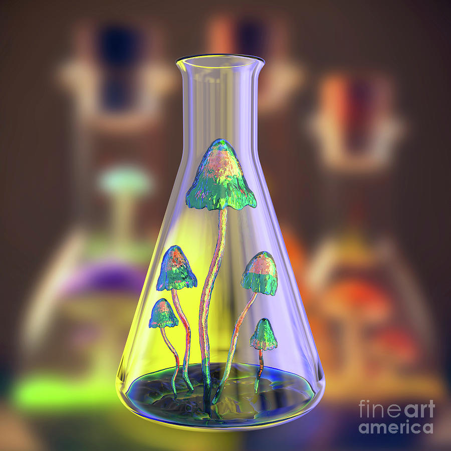 Mushrooms Growing In Laboratory Photograph by Kateryna Kon/science