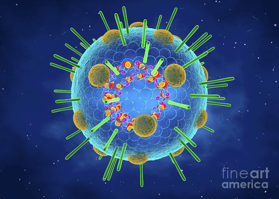 Myxovirus #3 by Roger Harris/science Photo Library