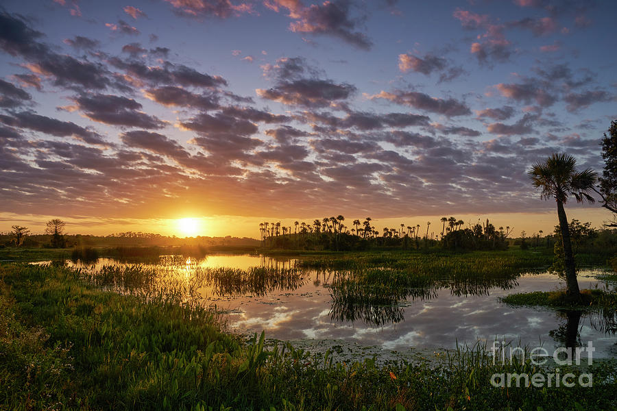 Orlando Sunrise #3 Photograph by Brian Kamprath