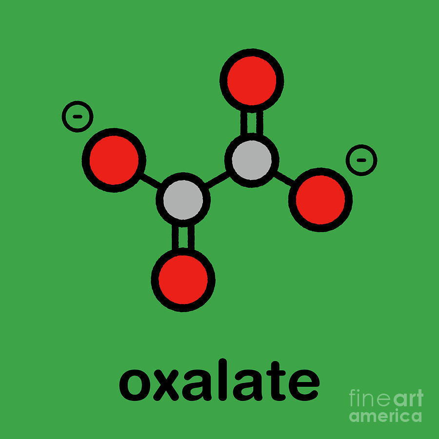 Oxalate Anion Chemical Structure #3 Photograph by Molekuul/science Photo Library