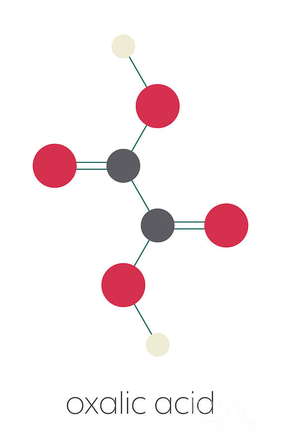 Oxalic Acid Molecule Photograph by Molekuul/science Photo Library Pixels