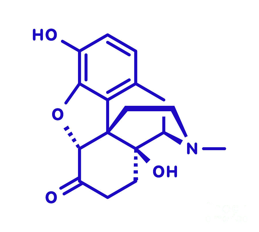 Oxymorphone Opioid Analgesic Drug Molecule #3 Photograph by Molekuul/science Photo Library