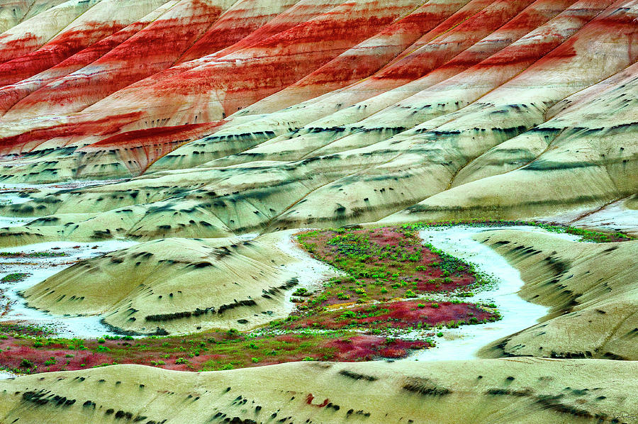 Painted Hills John Day Fossil Beds #3 Photograph by Dee Browning