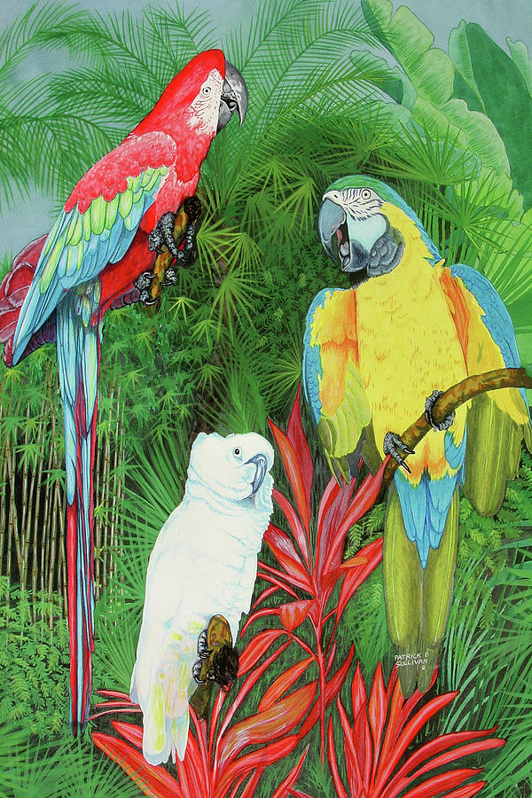 3 Parrots Painting by Patrick Sullivan - Fine Art America