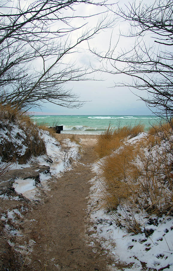 Path to the Beach #3 Photograph by Linda Kerkau