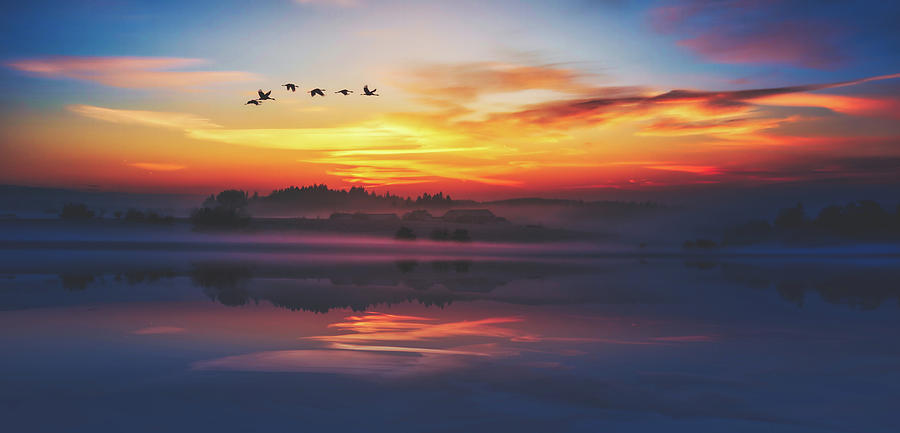 Geese Photograph - Peaceful Serenity by Mountain Dreams