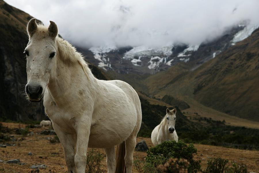 Peru Trekking #3 Photograph by Brent Stirton