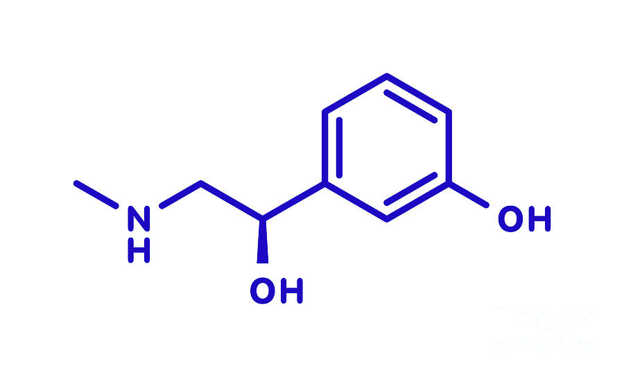 Phenylephrine Nasal Decongestant Drug Molecule #3 by Science Photo Library