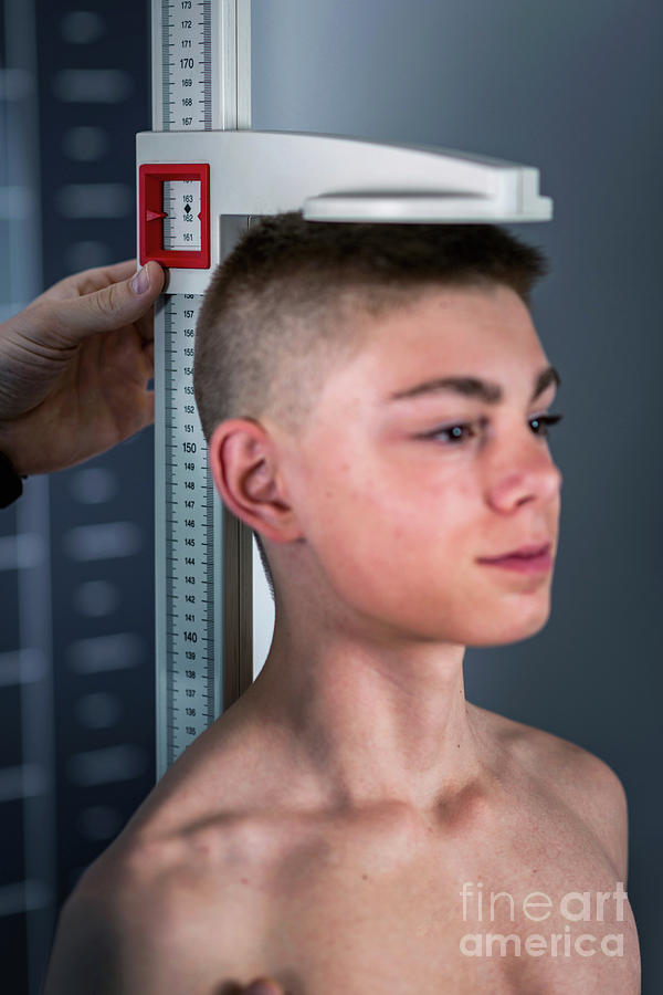 Physical Therapist Measuring Height Of Teenage Boy #3 Photograph by Microgen Images/science Photo Library