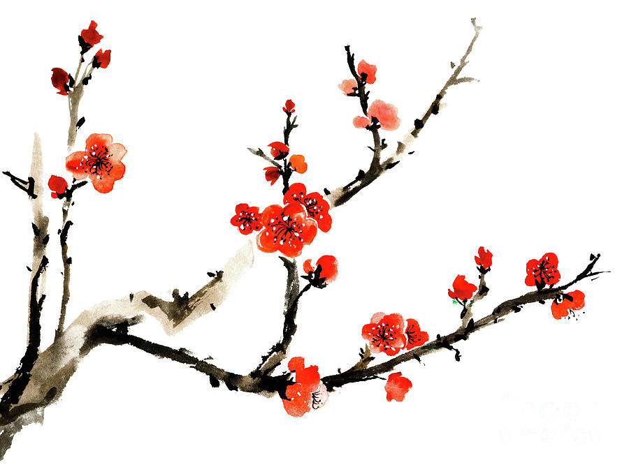 Plum Blossom #3 Digital Art by Vii-photo