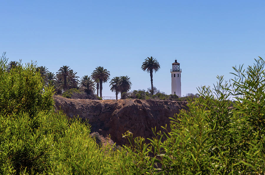 Point Vicente Lighthouse Photograph by Ed Clark