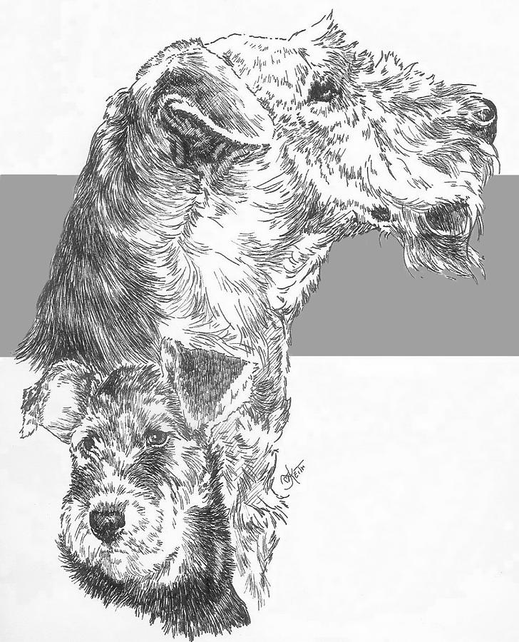 Airedale and Pup Drawing by Barbara Keith
