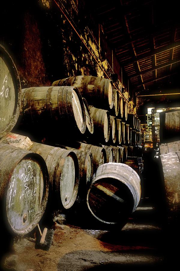 Port Wine In Wooden Barrels In The Niepoort Winery, Portugal #3 Photograph by Joris Luyten