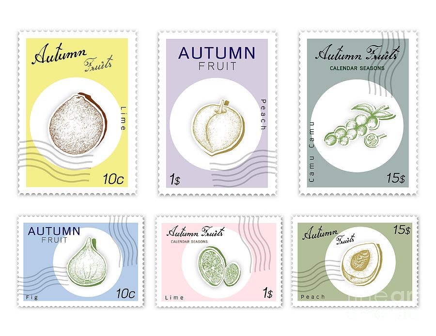 Post Stamps Set of Autumn Fruits with Paper Cut Art Drawing by Iam Nee -  Pixels