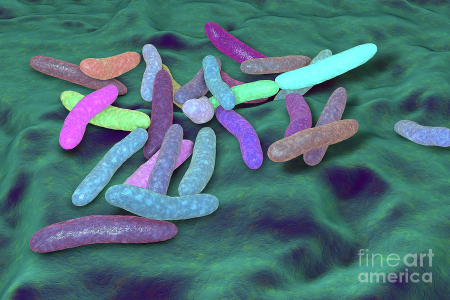 Bacteria Photograph - Pseudoalteromonas Tetraodonis Bacteria #3 by Kateryna Kon/science Photo Library