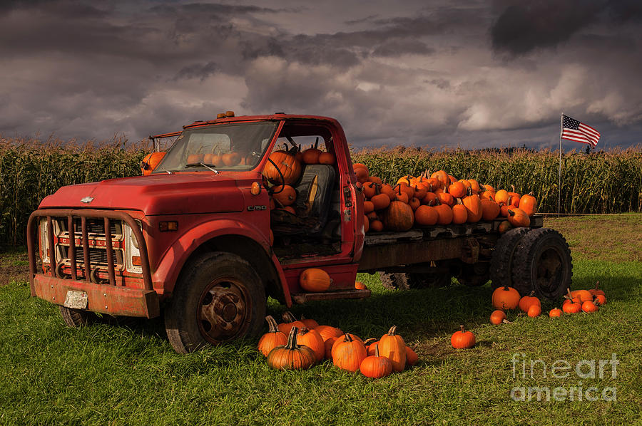 Pumpkin Patch With Old Flat Bed Truck  #3 Photograph by Jim Corwin