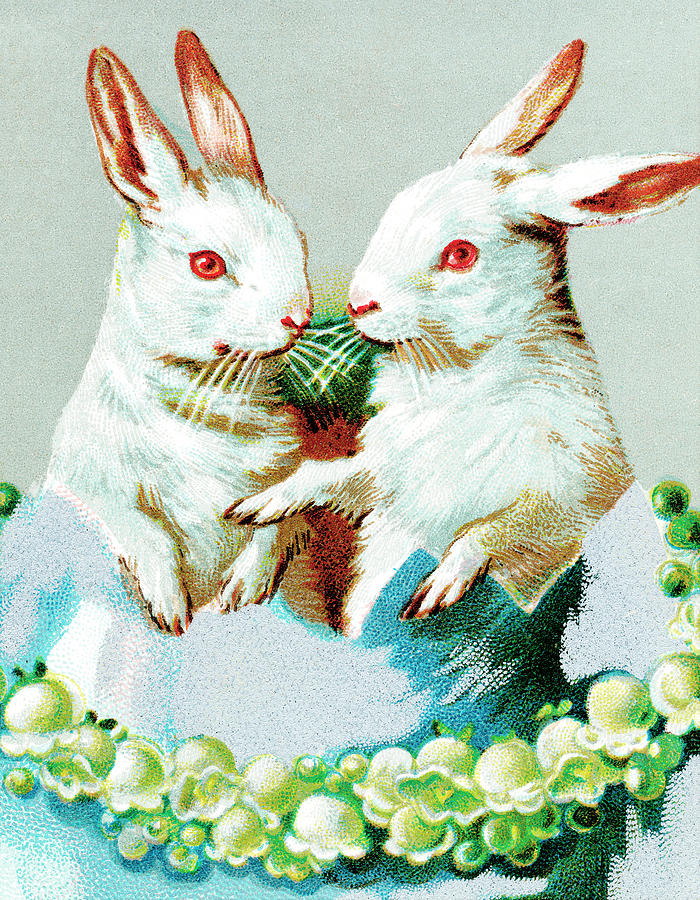 Easter Drawing - Rabbits #3 by CSA Images