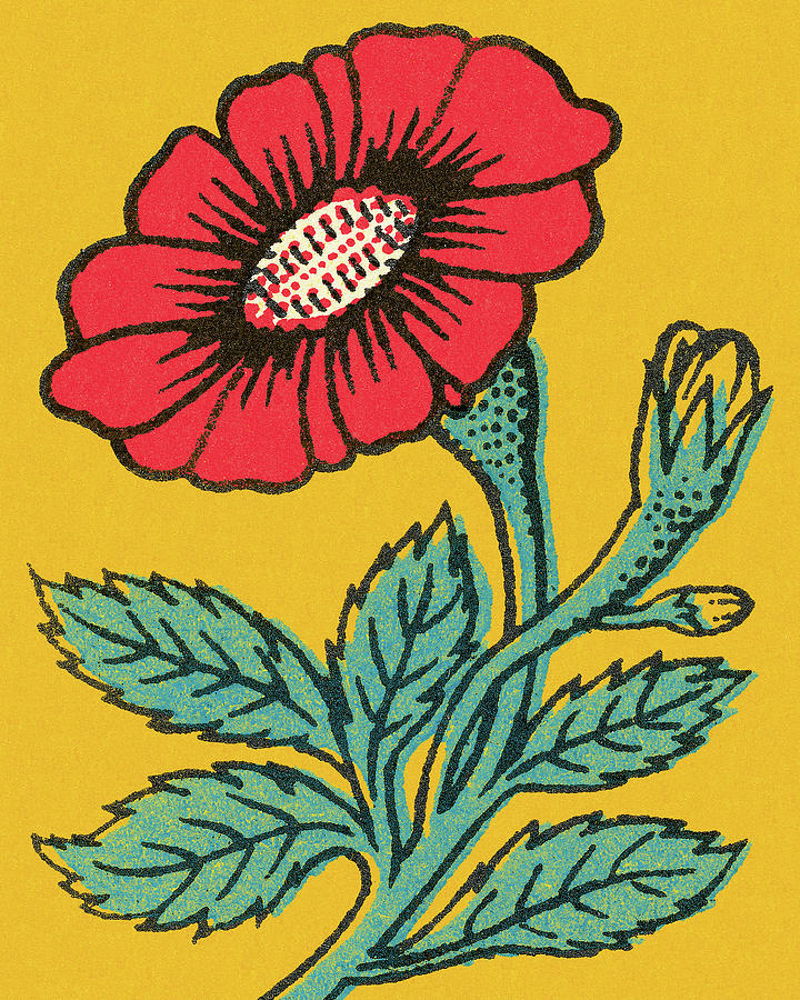 Red Flower #3 Drawing by CSA Images Red Flower #3 Drawing by CSA Images