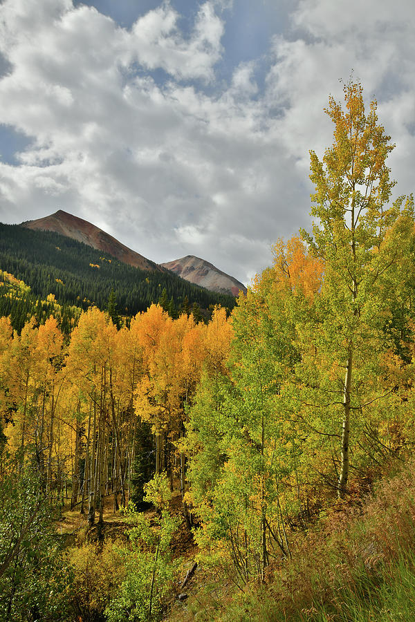 Red Mountain Fall Colors #3 Photograph by Ray Mathis