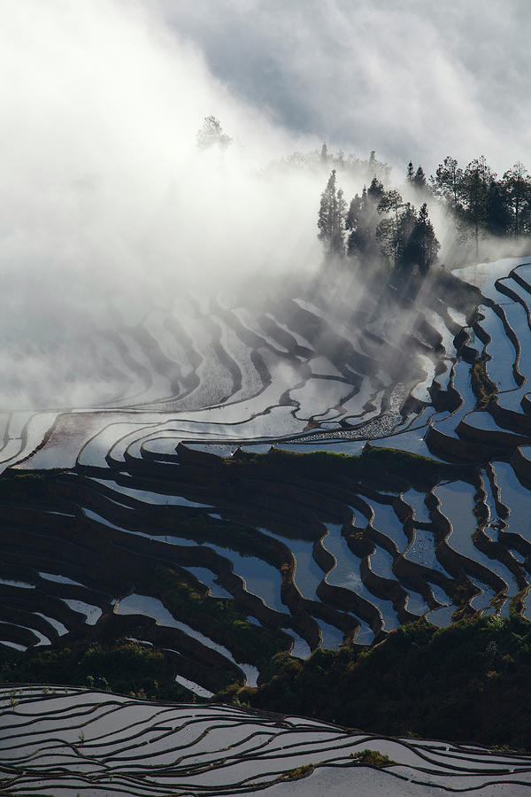 Rice Terraces, Yunnan, China #3 Digital Art by Andrea Pozzi