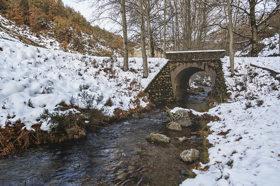 Winter Photograph - River With A Snowy Bridge Surrounded By Trees #3 by Cavan Images