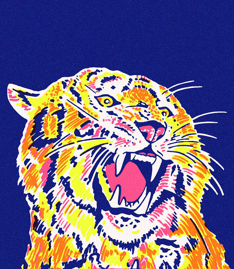 Vintage Drawing - Roaring Tiger #3 by CSA Images