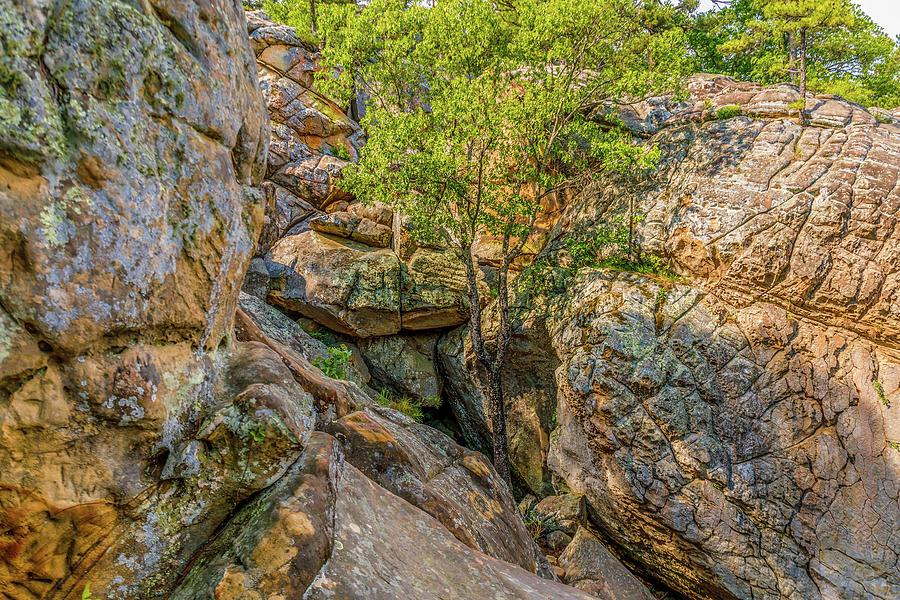 Robbers Cave Photograph
