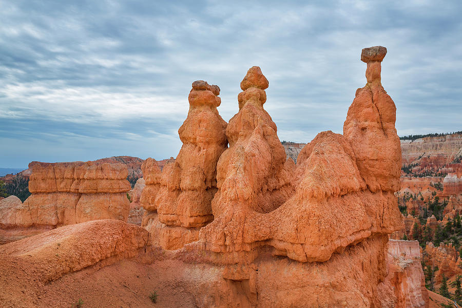 Rock Towers Hoodos In Bryce Canyon National Park, Usa #3 Photograph by Bastian Linder