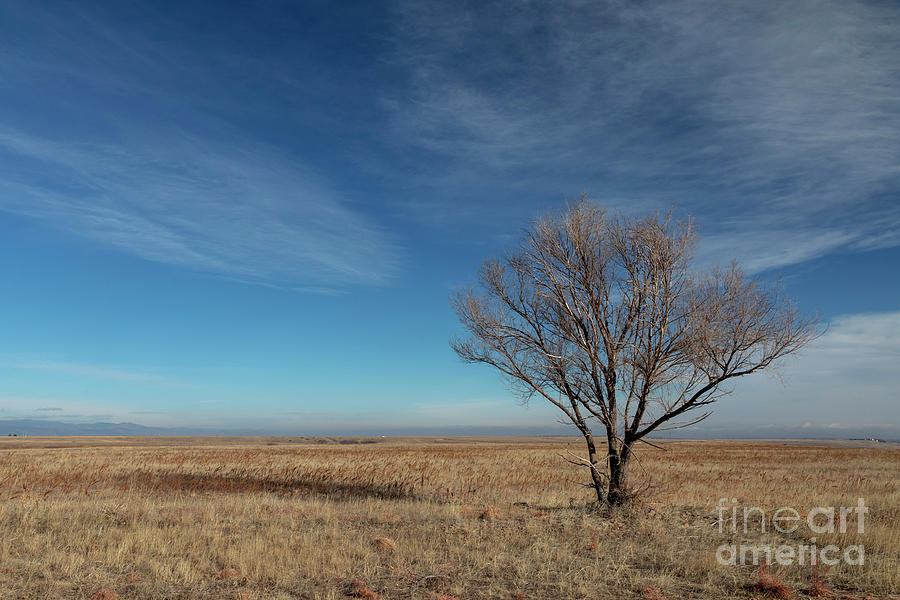 Rocky Flats National Wildlife Refuge Photograph