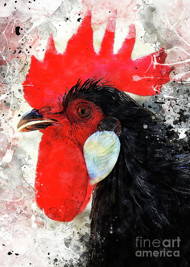 Rooster art #3 Digital Art by Justyna Jaszke JBJart