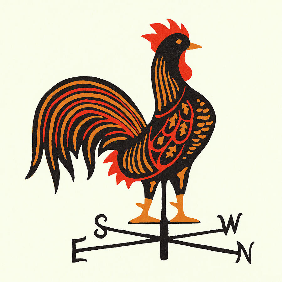 Chicken Drawing - Rooster Weathervane #3 by CSA Images