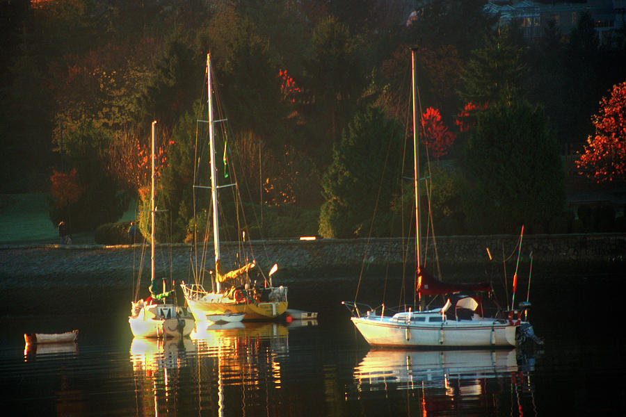 3 sail boats in Coal Harbour Creek Vancouver Photograph by David Smith