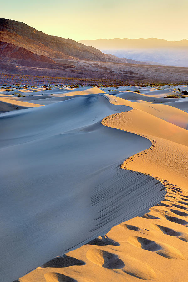 Sand Dunes, Death Valley, California #3 Digital Art by Francesco Carovillano