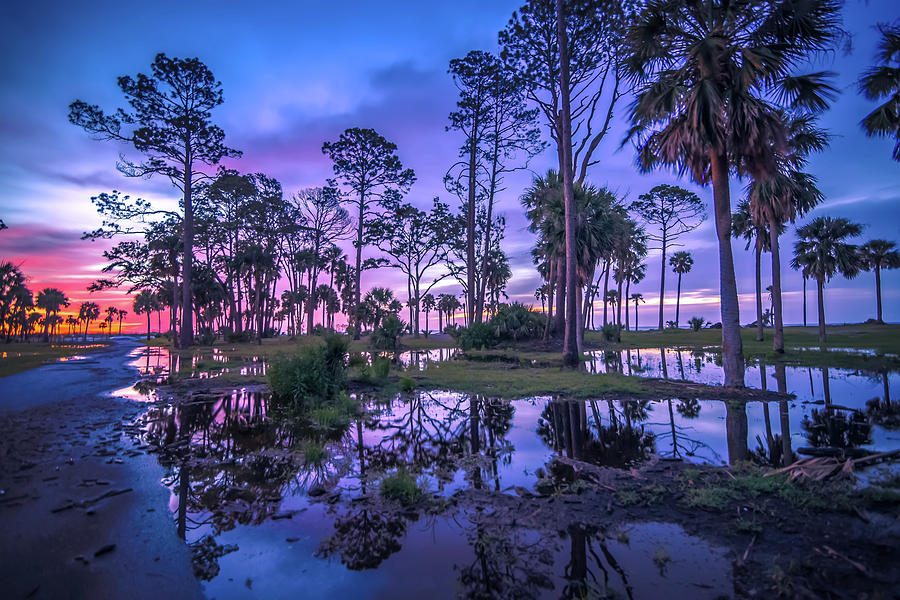 Scenes Around Hunting Island South Carolina In Summer #3 Photograph by Alex Grichenko