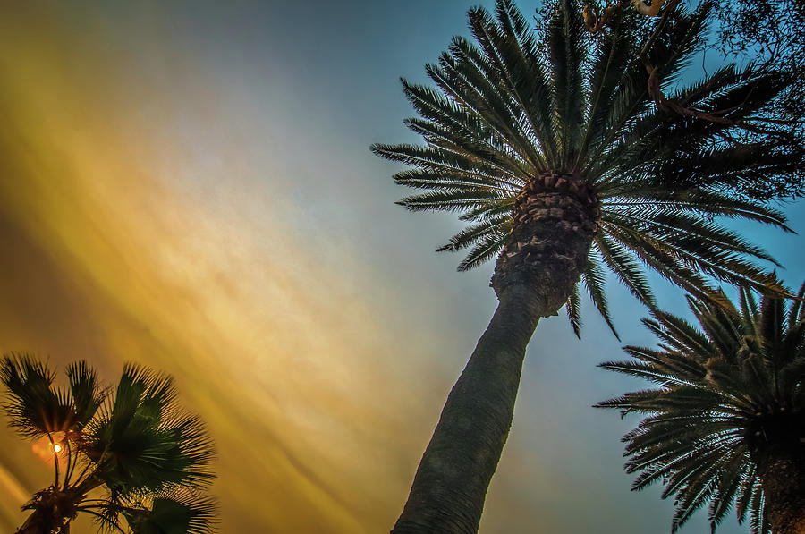 Scenes Around Santa Monica California At Sunset On Pacific Ocean #3 Photograph by Alex Grichenko