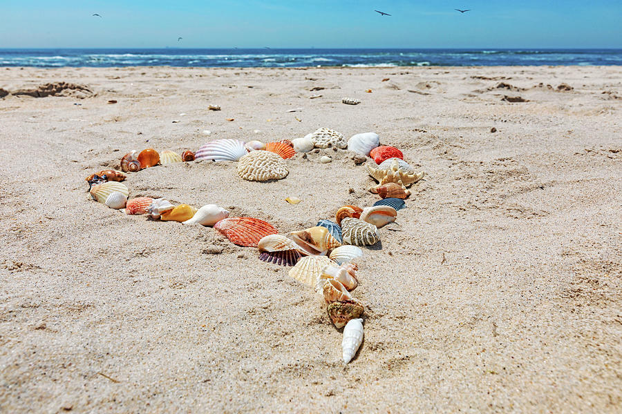 Seashells Arranged In Heart Shape On Beach Digital Art By Claudia Uripos Fine Art America