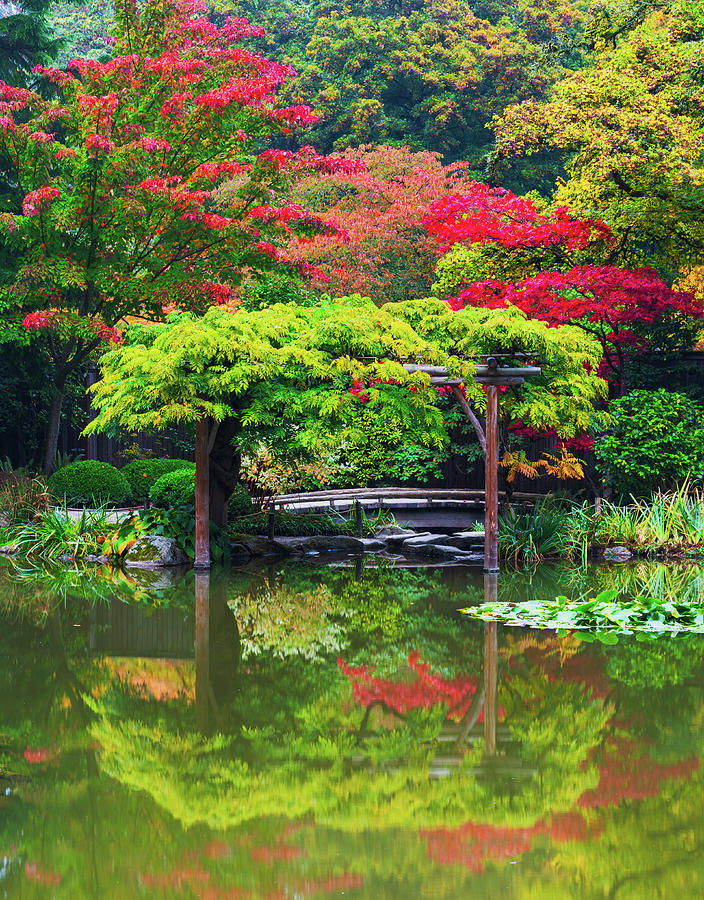 Seattle Japanese Garden #2 Digital Art by Michael Lee