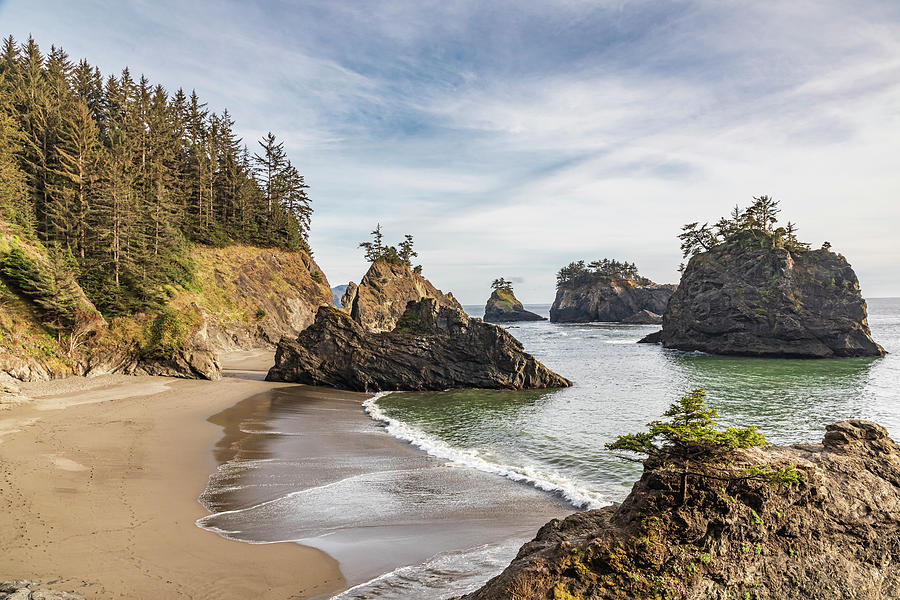 Secret Beach, Oregon, USA Photograph by Emily Wilson - Fine Art America