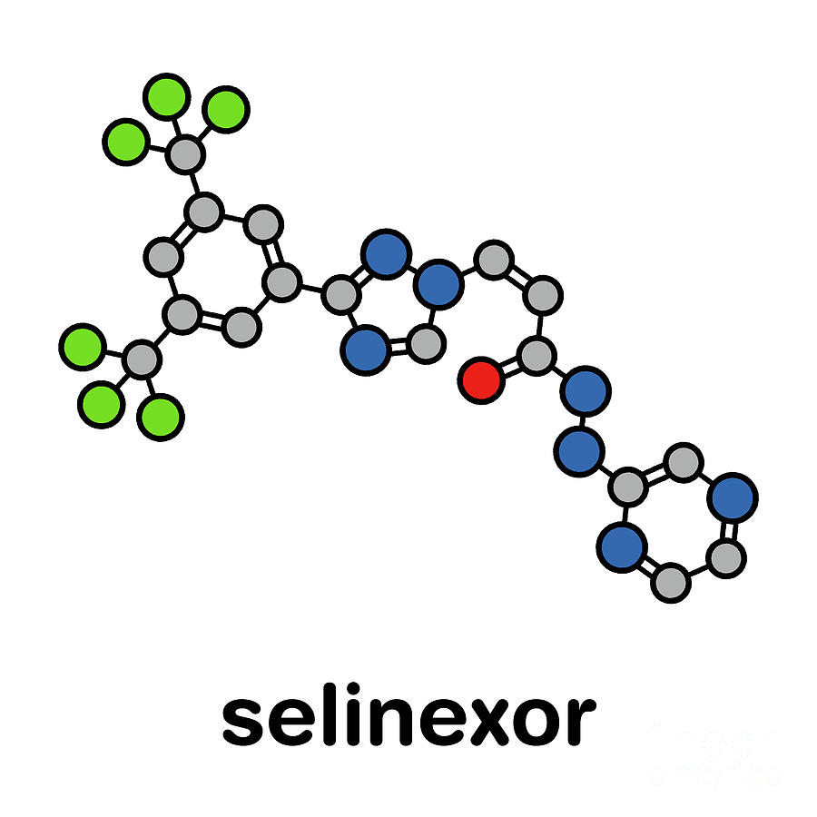 Selinexor Cancer Drug Molecule Photograph by Molekuul/science Photo ...