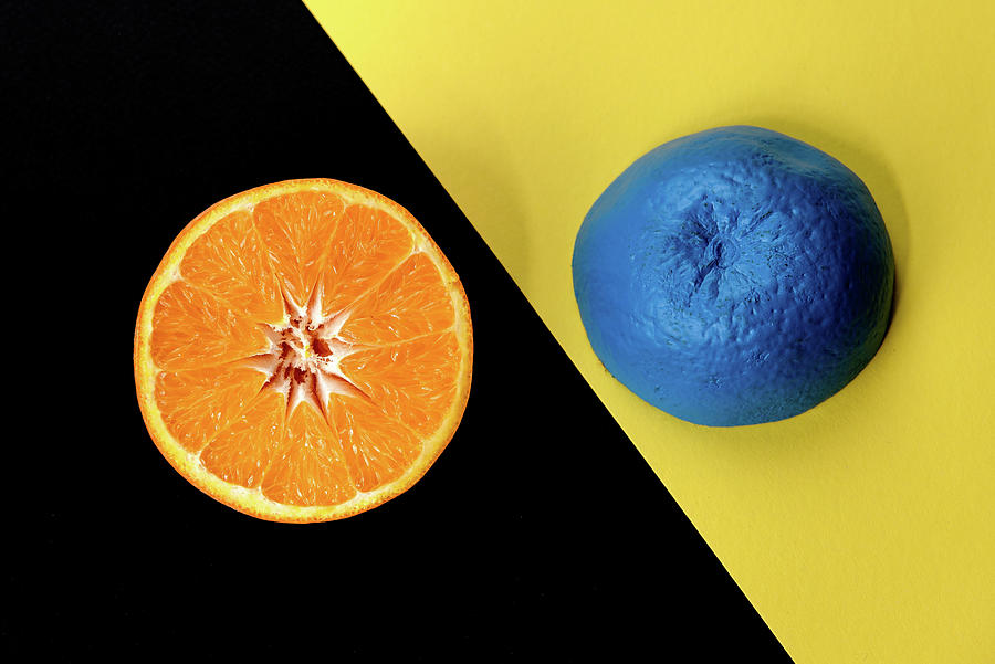 Slices of  blue and orange fresh Citrus orange fruit  #1 Photograph by Michalakis Ppalis