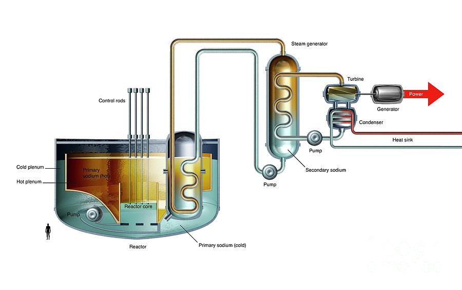 Illustration Photograph - Sodium-cooled Fast Reactor #3 by Mikkel Juul Jensen/science Photo Library