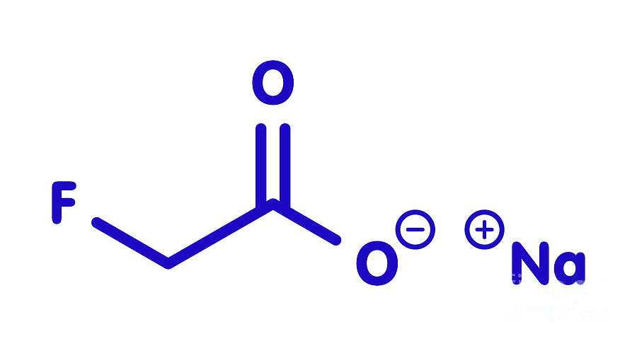 Regular And Low Sodium Salt Photograph by Science Photo Library - Pixels