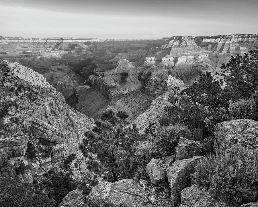 South Rim, Grand Canyon #3 Photograph by Tim Fitzharris