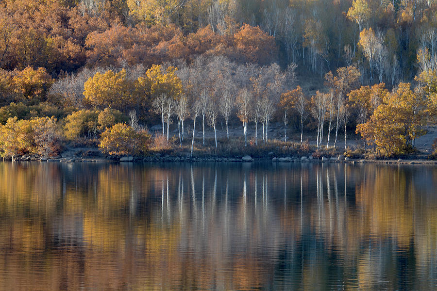Utah Photograph - Southern Utah Autumn 3 by Michael Just Utah Photograph - Southern Utah Autumn 3 by Michael Just