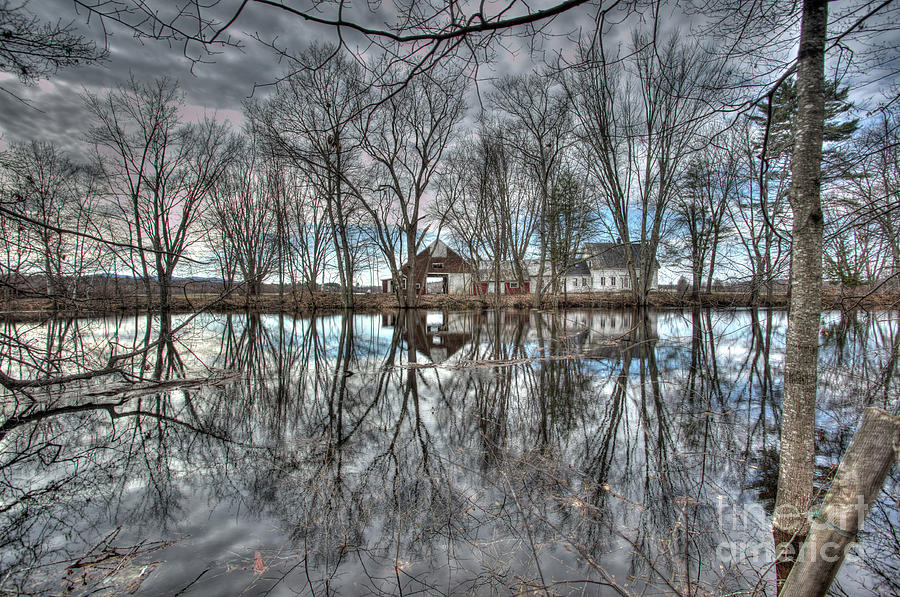 Spring Reflections #3 Photograph by David Bishop
