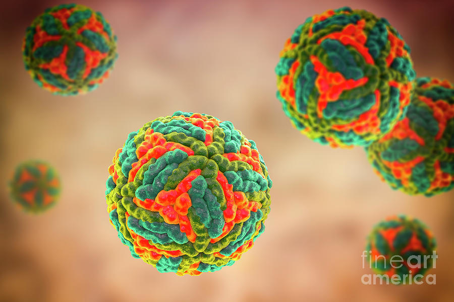 St. Louis Encephalitis Virus Particles Photograph by Kateryna Kon ...